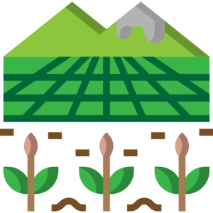 اراضي فلاحية