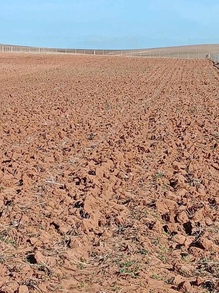 9اقطارات ملكية فردية على الطريق مربعين الضو والماء ورخصة السنطاج في المهرين البطان