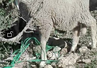 641377748_894168536831416_7369918144551922060_n